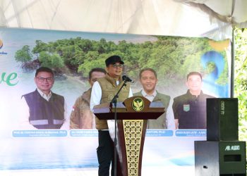 Bupati Tanah Bumbu dan Kaka Slank Tanam Mangrove di Muara Pagatan