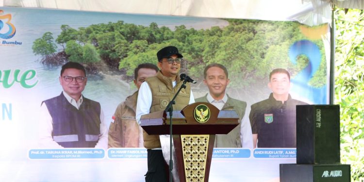 Bupati Tanah Bumbu dan Kaka Slank Tanam Mangrove di Muara Pagatan