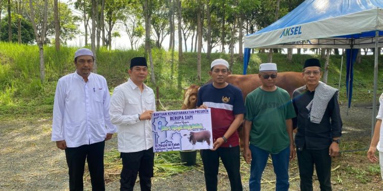 Bupati Serahkan Sapi Kurban Bantuan Presiden untuk Masyarakat Tanah Bumbu
