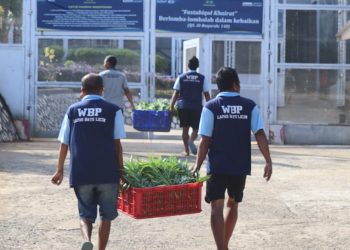 Panen 50 Kg Kangkung, Lapas Batulicin Manfaatkan Hasil untuk Pangan Warga Binaan