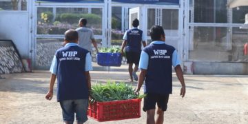 Panen 50 Kg Kangkung, Lapas Batulicin Manfaatkan Hasil untuk Pangan Warga Binaan