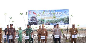 Tanah Bumbu Tanam 1.000 Mangrove Sambut HUT ke-81 TNI