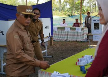 Bupati Kotabaru Tinjau Pilkades Serentak di TPS Desa Megasari