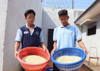 Lapas Batulicin Panen 17 Kg Tauge, Pembinaan Kemandirian Terus Berjalan