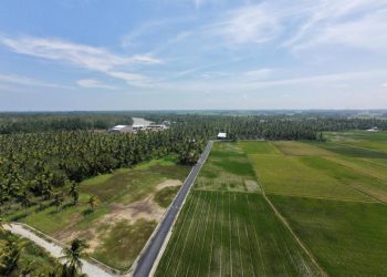 Jalan Diaspal, Warga Rantau Panjang Hulu Lebih Mudah Angkut Hasil Panen